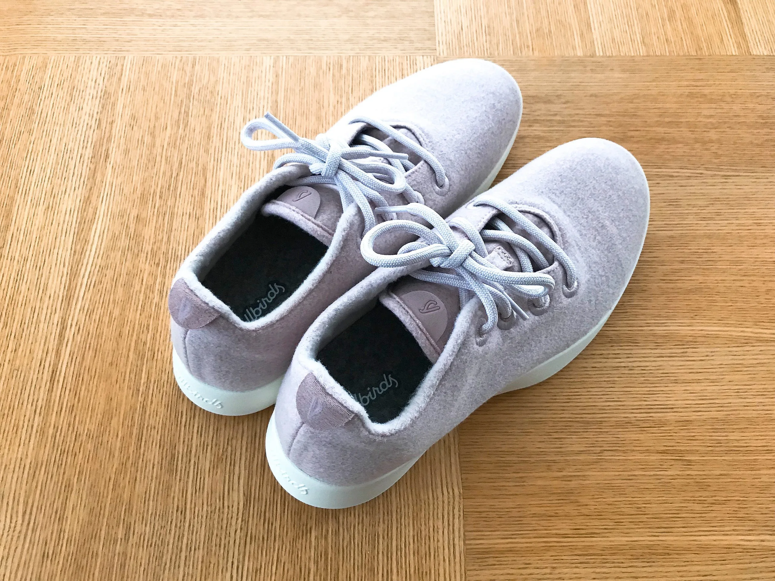 allbirds のウールスニーカー